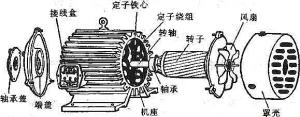 振動(dòng)電機(jī)損壞的常見(jiàn)原因有哪些？